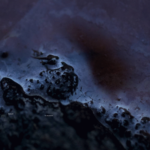 Feigur : III, Ascension Feigur : III, Ascension